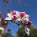 фото из отзыва ID 2686357