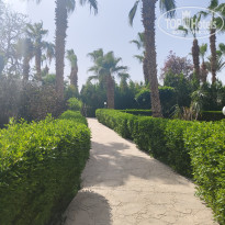 фото из отзыва ID 2686387