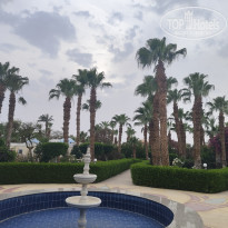 фото из отзыва ID 2686387