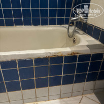 фото из отзыва ID 2686404