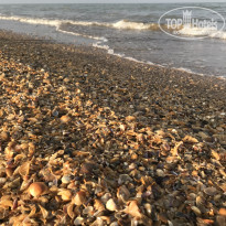 фото из отзыва ID 2686300