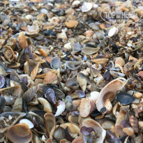 фото из отзыва ID 2686300