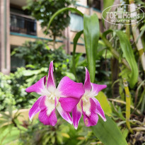 фото из отзыва ID 2686475