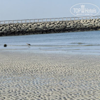 фото из отзыва ID 2686482