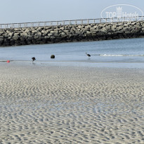 фото из отзыва ID 2686482