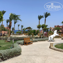 фото из отзыва ID 2685699