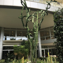 фото из отзыва ID 2686524