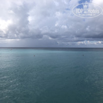 фото из отзыва ID 2686524