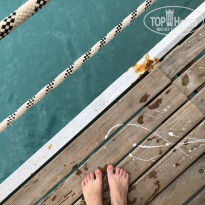 фото из отзыва ID 2686524