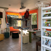 фото из отзыва ID 2686524