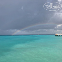 фото из отзыва ID 2686524