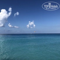 фото из отзыва ID 2686524