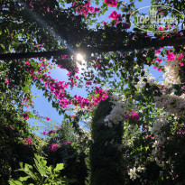 фото из отзыва ID 2686524