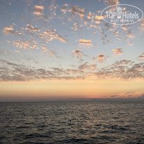 фото из отзыва ID 2686524