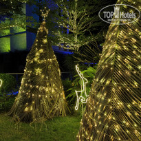 фото из отзыва ID 2686542