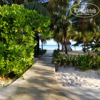 фото из отзыва ID 2686550