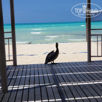 фото из отзыва ID 2686550