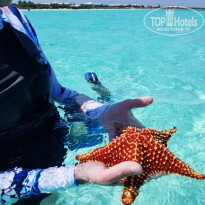 фото из отзыва ID 2686550