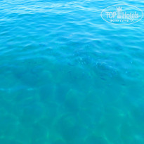 фото из отзыва ID 2686579