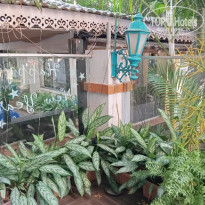 фото из отзыва ID 2686361