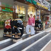 фото из отзыва ID 2686361