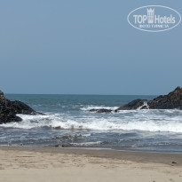 фото из отзыва ID 2686361