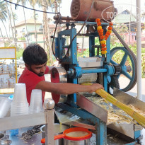 фото из отзыва ID 2686361