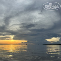 фото из отзыва ID 2686600