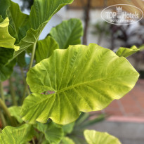 фото из отзыва ID 2686600