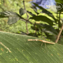 фото из отзыва ID 2686600