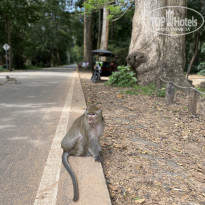 фото из отзыва ID 2686600