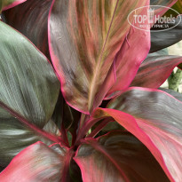 фото из отзыва ID 2686600