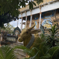 фото из отзыва ID 2686600