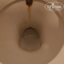 фото из отзыва ID 2686636