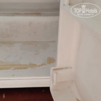 фото из отзыва ID 2686636