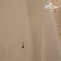 фото из отзыва ID 2686636