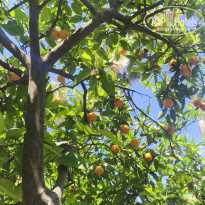 фото из отзыва ID 2686639