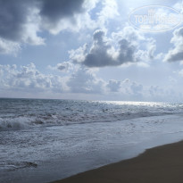 фото из отзыва ID 2686639