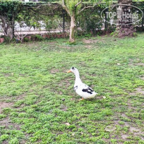 фото из отзыва ID 2686639