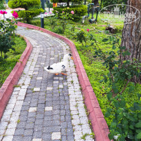 фото из отзыва ID 2686639