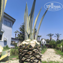 фото из отзыва ID 2686639