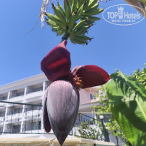 фото из отзыва ID 2686639