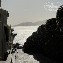 фото из отзыва ID 2686663