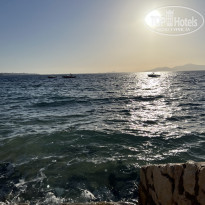 фото из отзыва ID 2686663