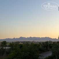 фото из отзыва ID 2686669