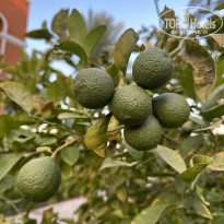 фото из отзыва ID 2686669