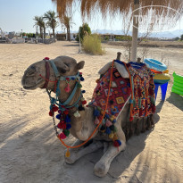 фото из отзыва ID 2686669