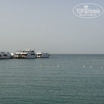 фото из отзыва ID 2686689