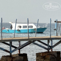 фото из отзыва ID 2686689