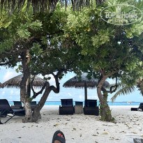 фото из отзыва ID 2686695